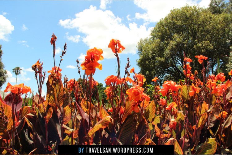 sydney_botanicalgardens