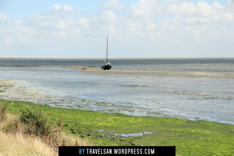 vlieland-wad