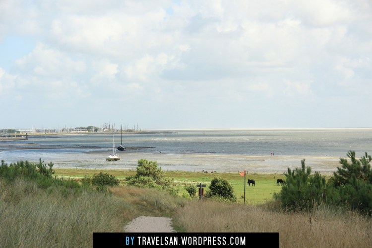 vlieland-wad2