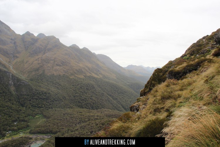 routeburn_track3