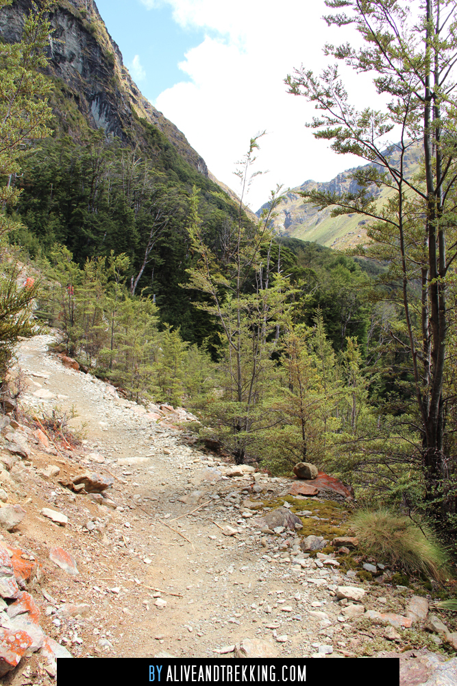routeburn_track8