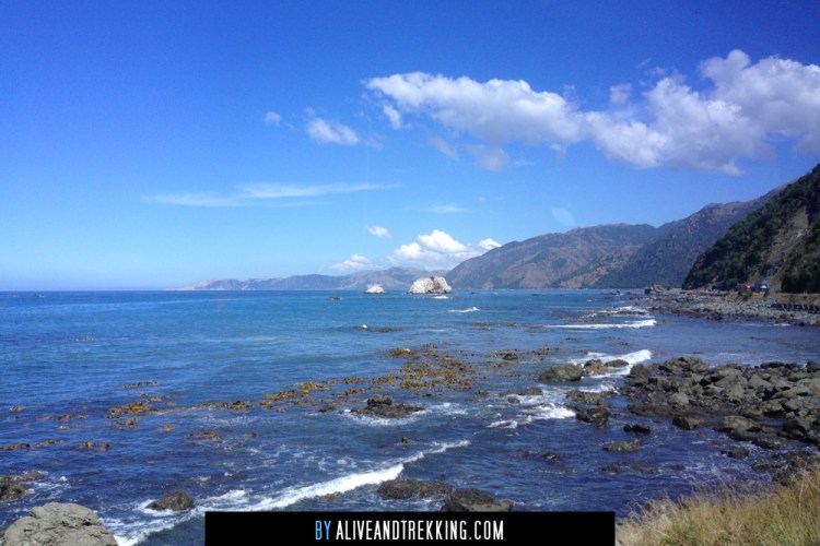 kaikoura-coast