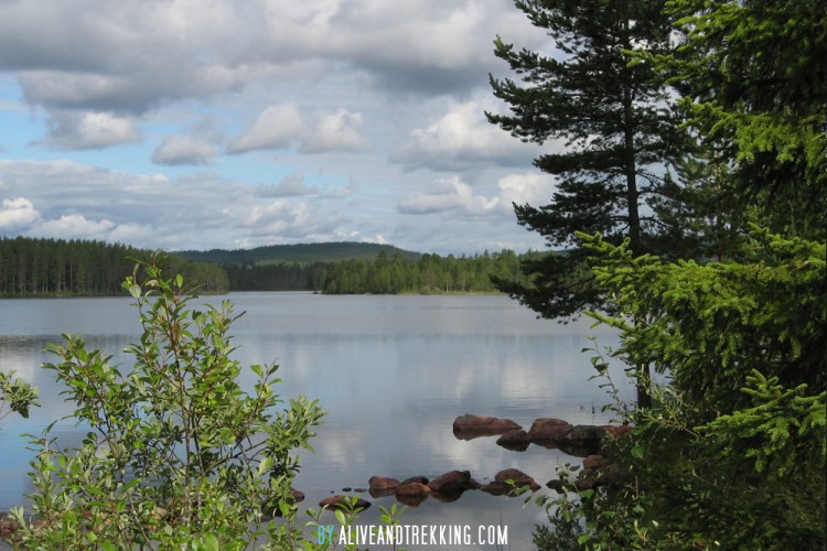 sweden_vasaloppsleden2