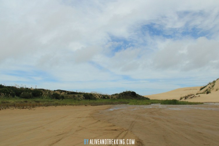cape-reinga-sanddunes