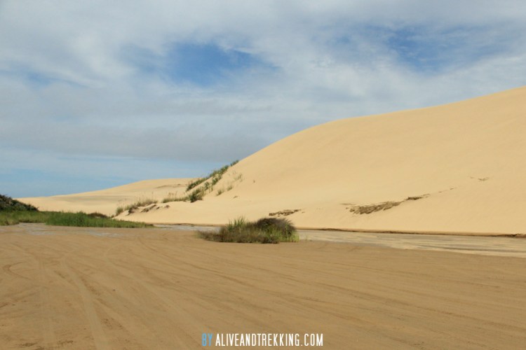 cape-reinga-sanddunes2