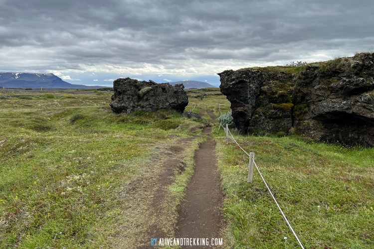 ww_iceland_25